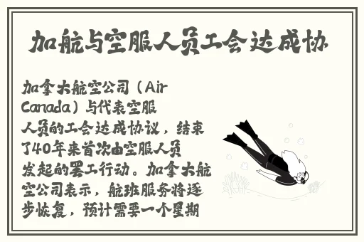 亚洲精品第一国产综合高清